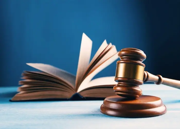 Tax Disputes & Investigations